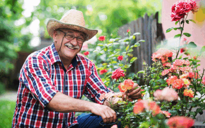 4 Easy Aging-in-Place Projects for Seniors